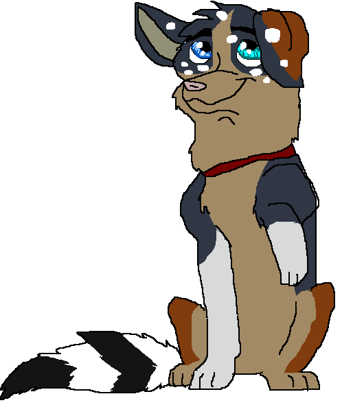 fan pup 3.PNG