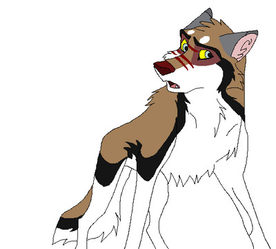 13a.png