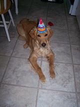 buddy with hat.JPG