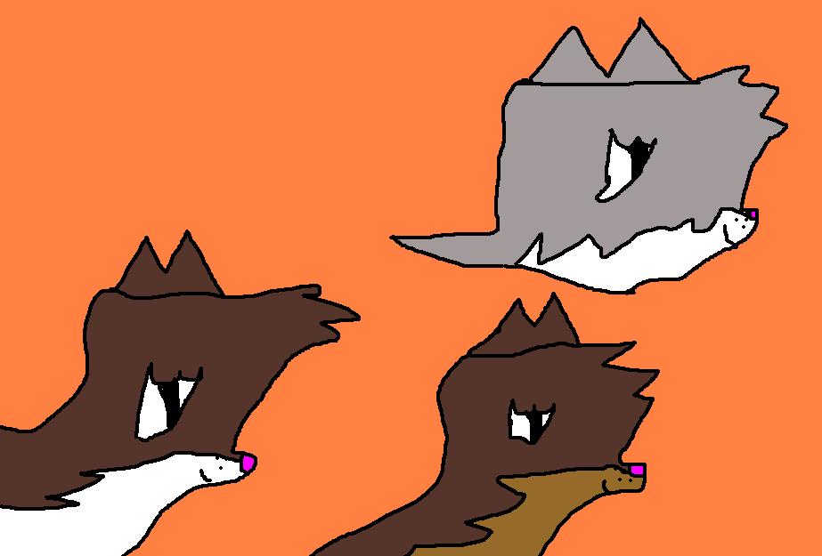 3 pups!.JPG