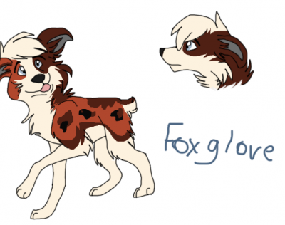 Foxglove ref.png