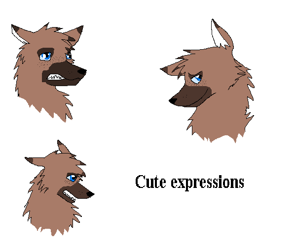 cuite dog.PNG