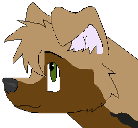 Aries head-shot.PNG