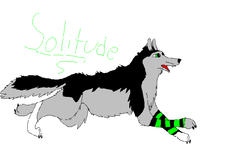 SOLITUDE!.gif