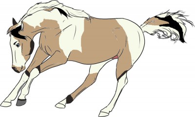 Dakota [Tanak] - Full Body - 3 Years.jpg
