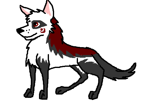 fddd.PNG