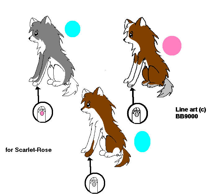 PUPPYLITTER1.PNG