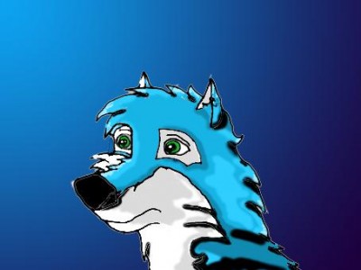 Wolf 1.jpg