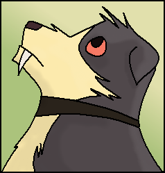 Echo Shade.png