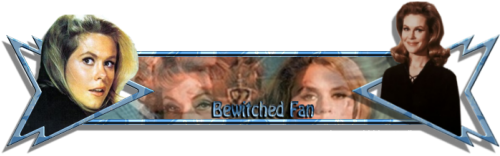 bewitchedfan.png