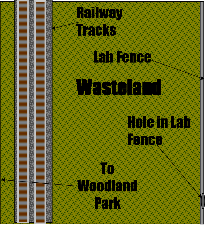 Wasteland and railway tracks 1.png