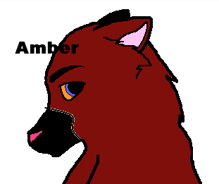 amber.png