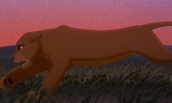 KiaraRun.gif
