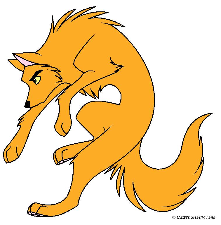 Crash.jpg
