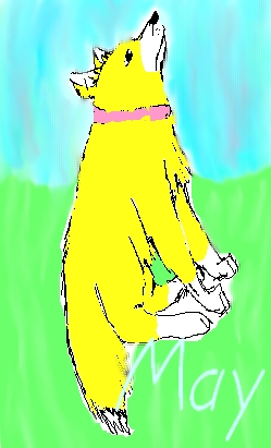 may.jpg