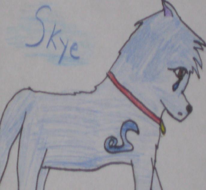 SKYE.JPG