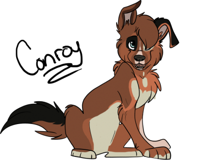 shanipup copy.png