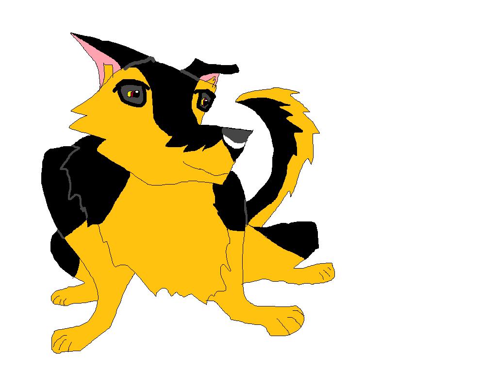 imauspup.jpg