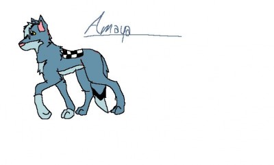 amaya.jpg