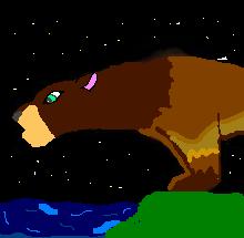 stars.JPG