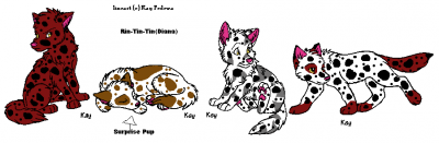 Rin-Tin-Tin(Diana).PNG