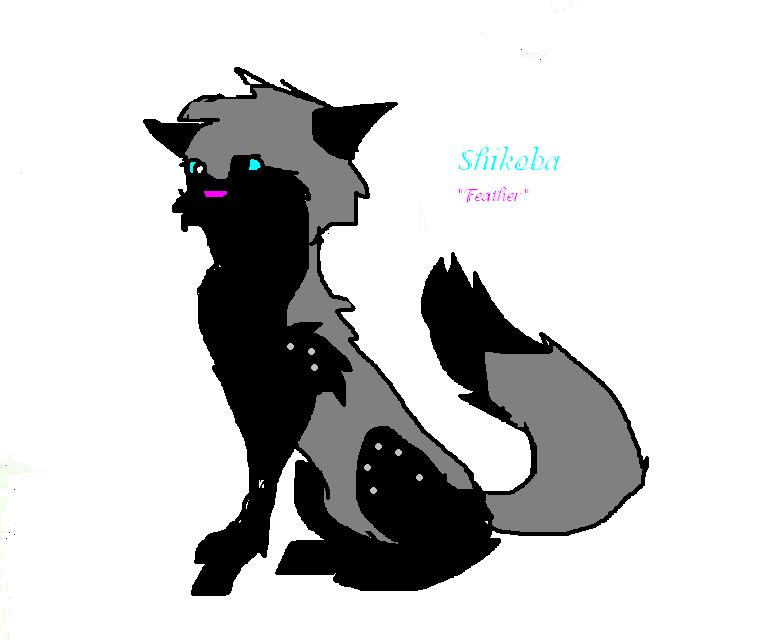 shikoba2.JPG