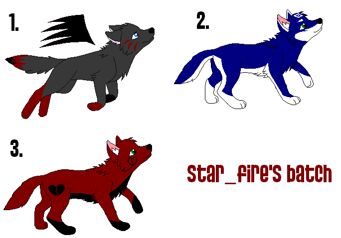 Puppy Batch #4.PNG