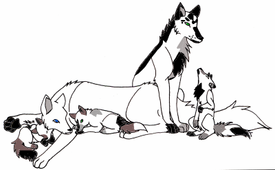 2nd_Litter.png