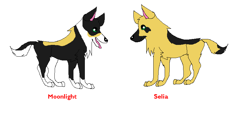 2sisters.PNG