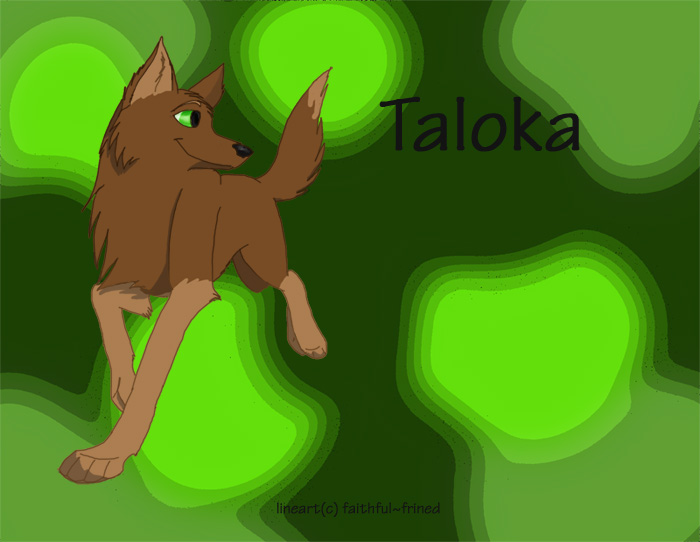 Taolka ref seet.jpg