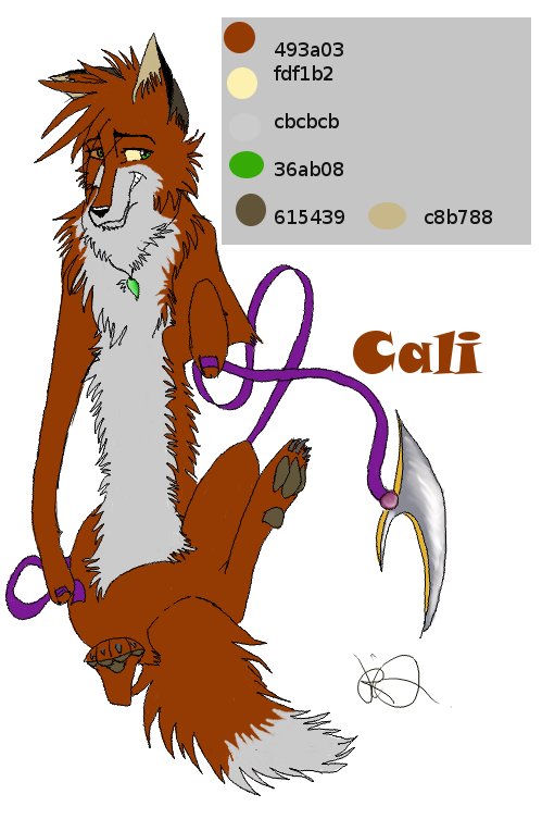 Cali modele sheet.jpg