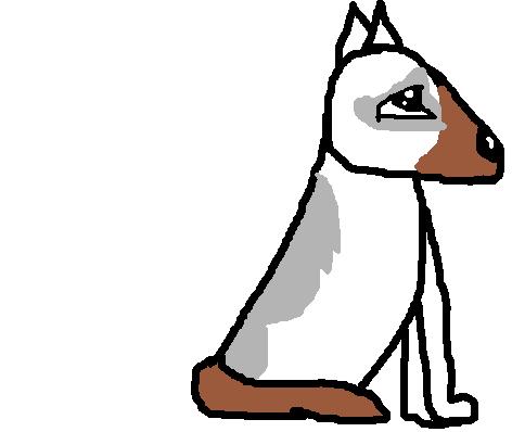 ijjjjjjjjjjjry6.jpg