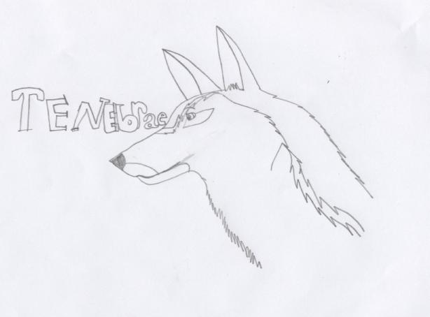 Tenebrae1.JPG