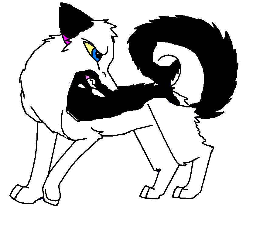 4.PNG