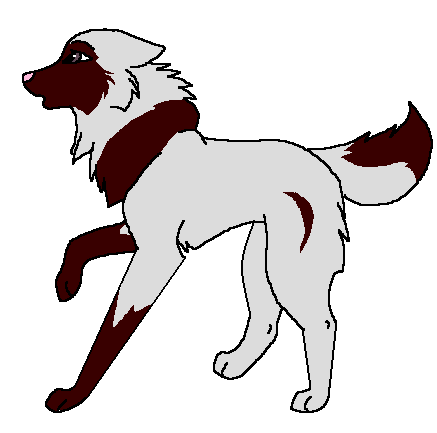 Cassa.PNG
