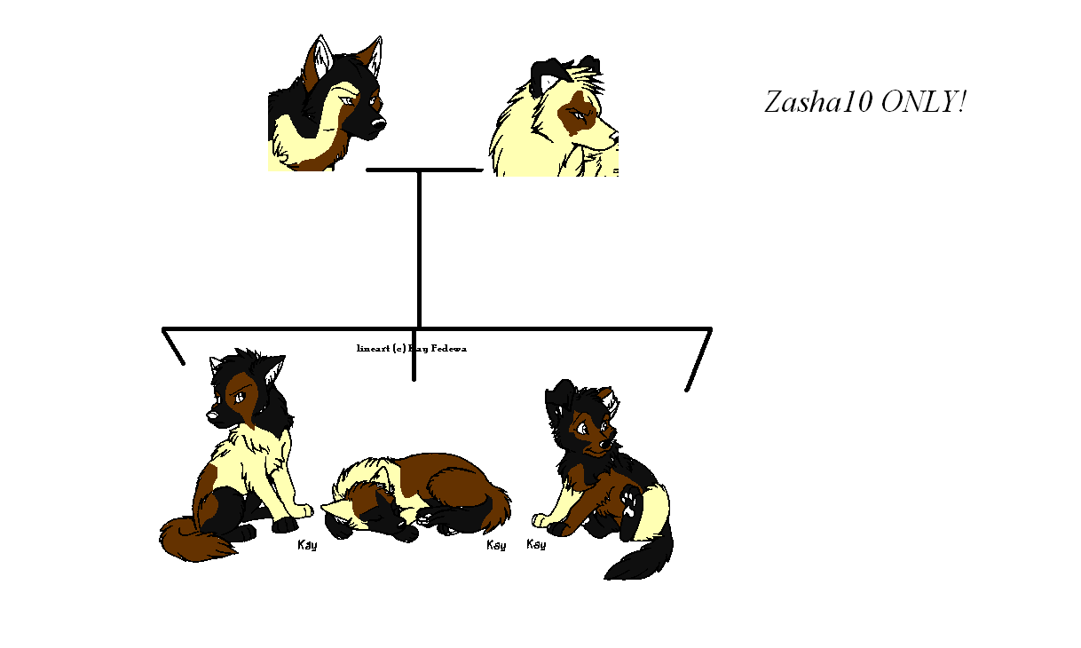 fz10.PNG