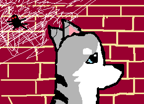 6.png