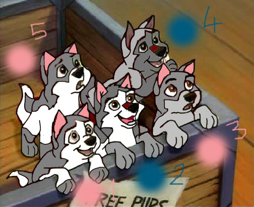 suessi and feline pupz.jpg