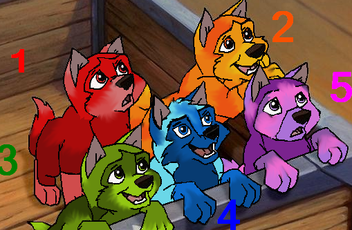 Rainbow Puppies.png