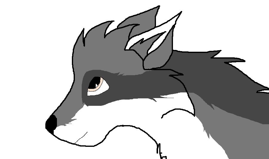 meredith.jpg