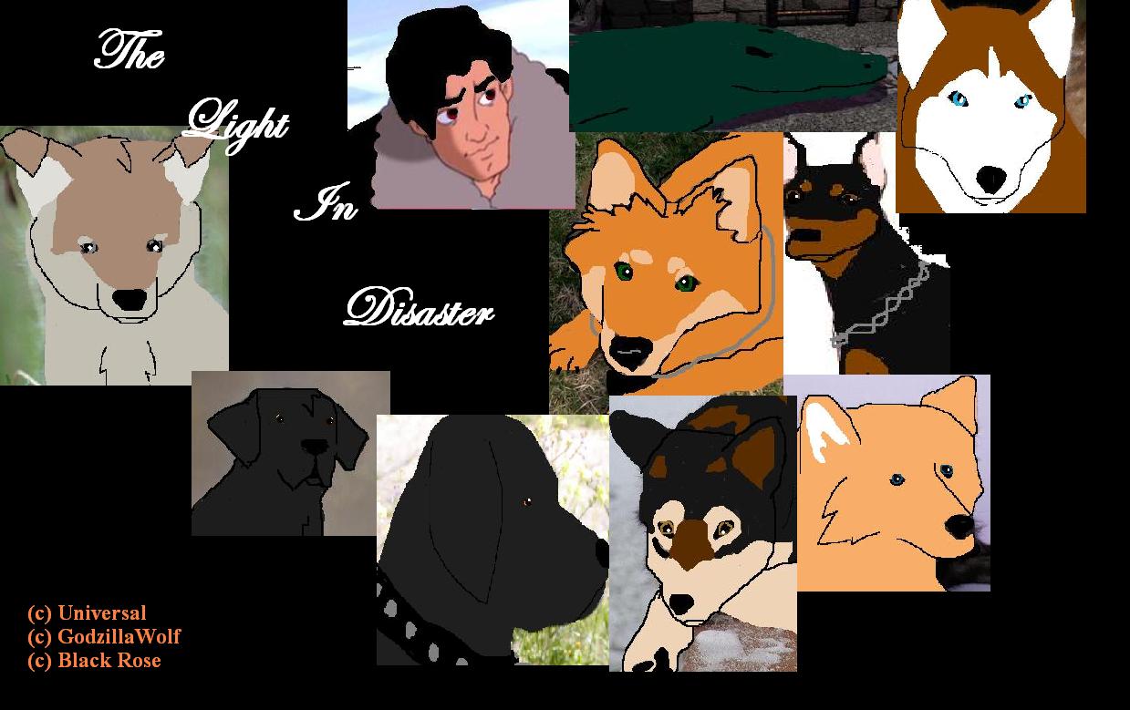 LightinDisaster.JPG