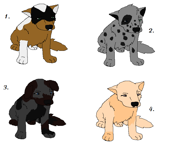 Old pups.png