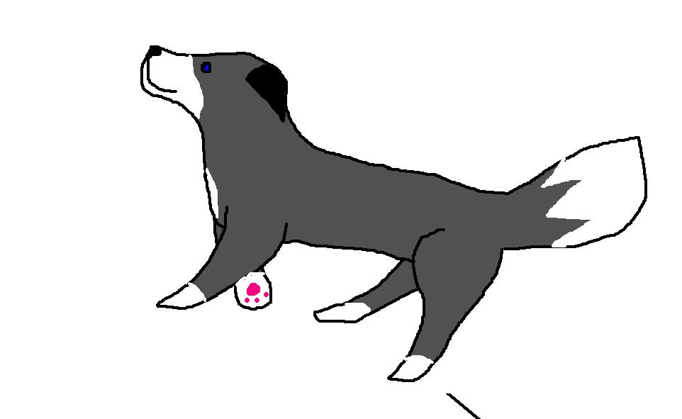 Skylar.JPG