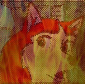 cooliecat3f.jpg