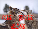 th_wolf-eat-wolf-1.jpg