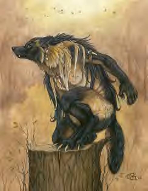 Andrew.friend.wolf.jpg