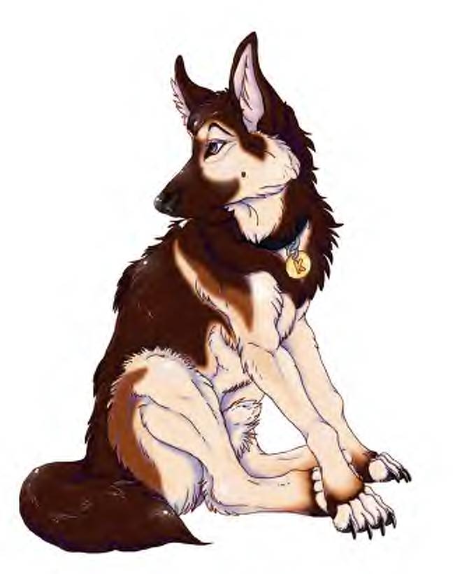 German_Shepherd_by_Lunadea.jpg