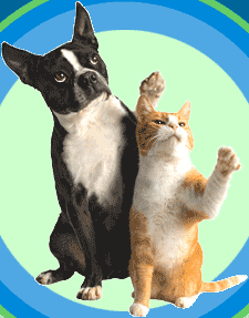 goodbye Ticks!.gif