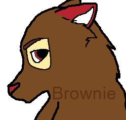 brownie avatar.png