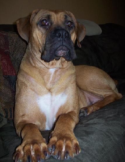 Lilly 003.jpg